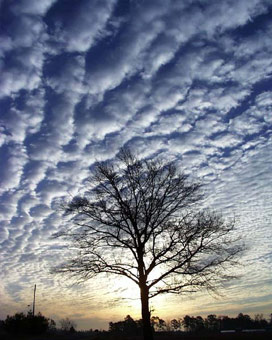 Carolina sunset courtesy Michael Craig