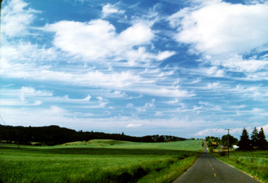 Hook Cirrus, Willamette Valley, Oregon