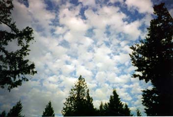 Altocumulus, Orcas Island, Washington