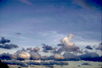 Cumulus of Fair Weather