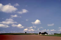 Cumulus of Fair Weather