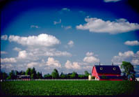 Cumulus of Fair Weather