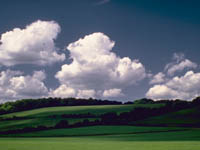 Swelling Cumulus