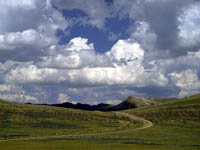 Swelling Cumulus