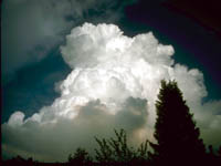 Cumulus Congestus