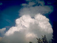 Cumulus Congestus