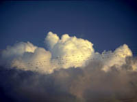 Cumulus Congestus