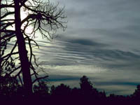 Altostratus/Altocumulus