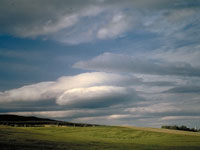 Stratocumulus