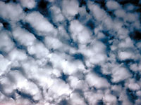 Altocumulus