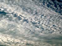 Altocumulus