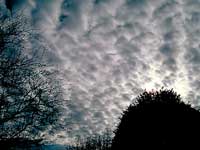 Altocumulus