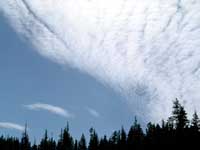 Cirrocumulus