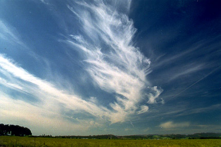 Jet Stream Cirrus, Willamette Valley, Oregon